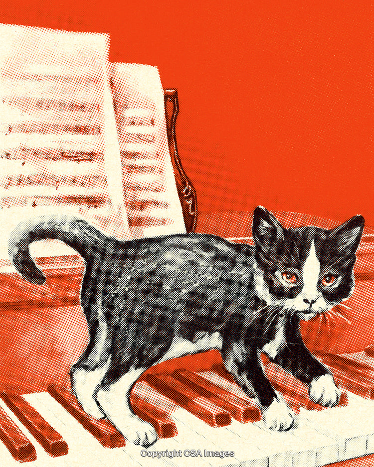 Playful Black Cat Walking on Piano Under a Bright Design