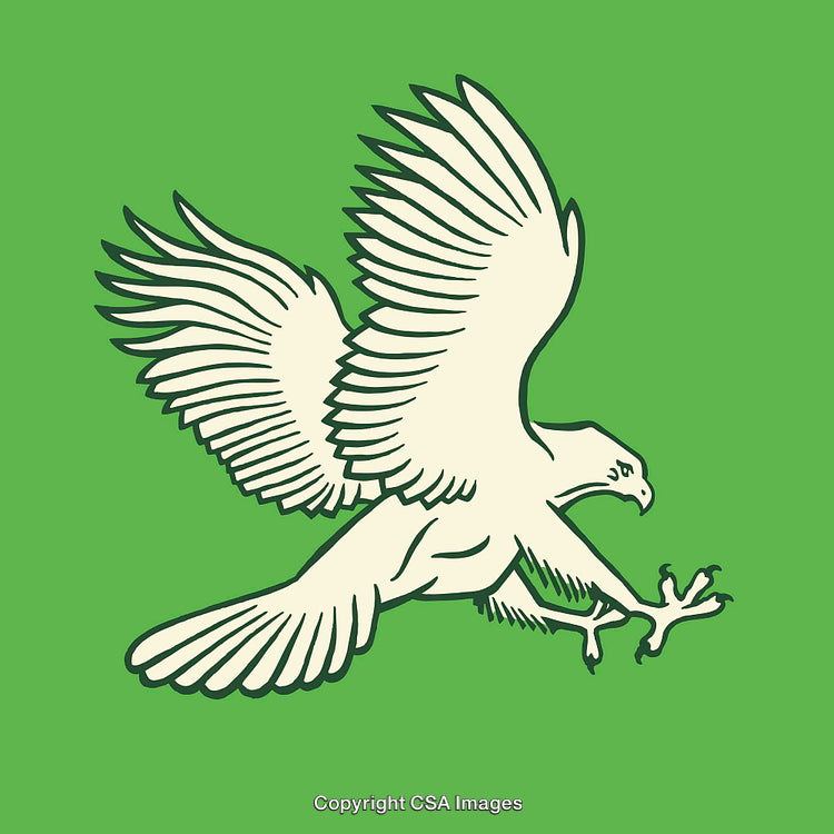 Illustration of a Hawk in Flight with Green Background