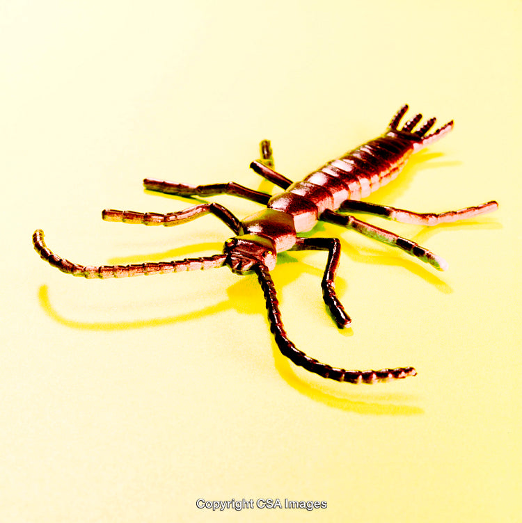 Close-Up of an Insect-Shaped Plastic Toy on Yellow Background