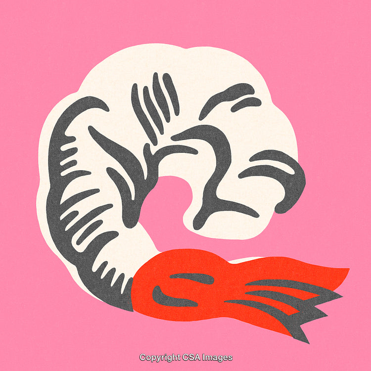 Stylized Abstract Shrimp Design in Pink Background with Bold Colors