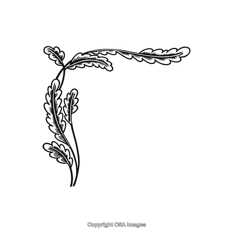 Elegant Black And White Floral Corner Ornament Design Illustration