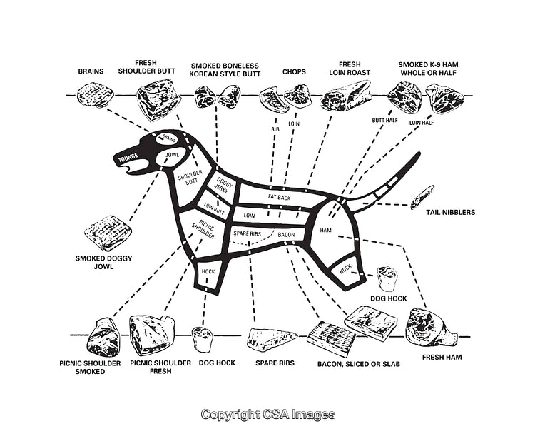 Detailed Black and White Diagram of Dog Anatomy with Meat Cuts