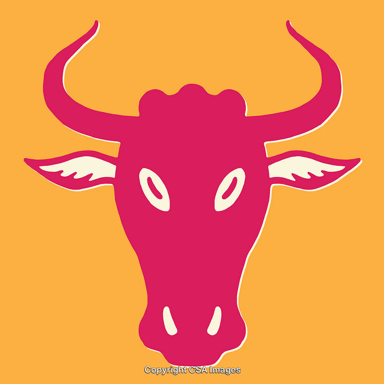 Bold Line Art Of a Stylized Bull Head With Vibrant Colors
