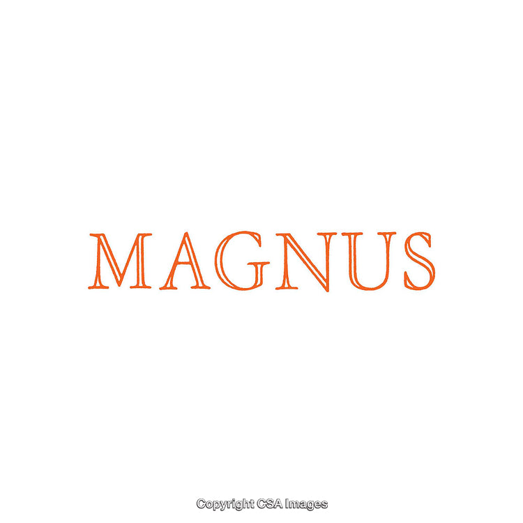 Orange Magnus Text Design on White Background for Branding or Decoration