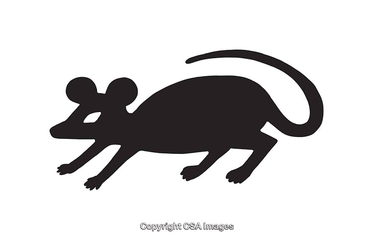 Black Silhouette of a Mouse with a Pointed Tail in Crawling Position