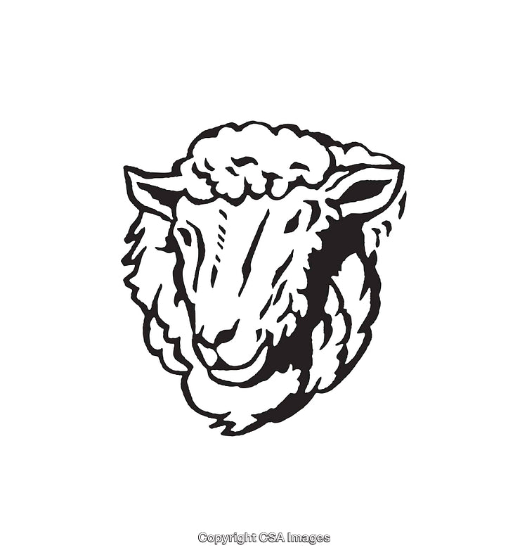 Detailed Black and White Line Art Illustration of a Sheep Head