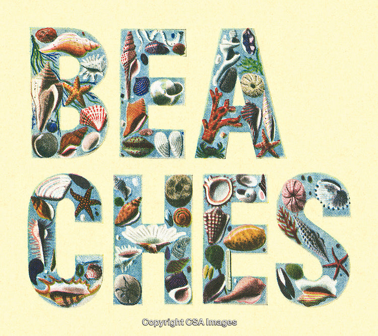 Beach-Themed Illustration with Shell Letters and Tropical Elements