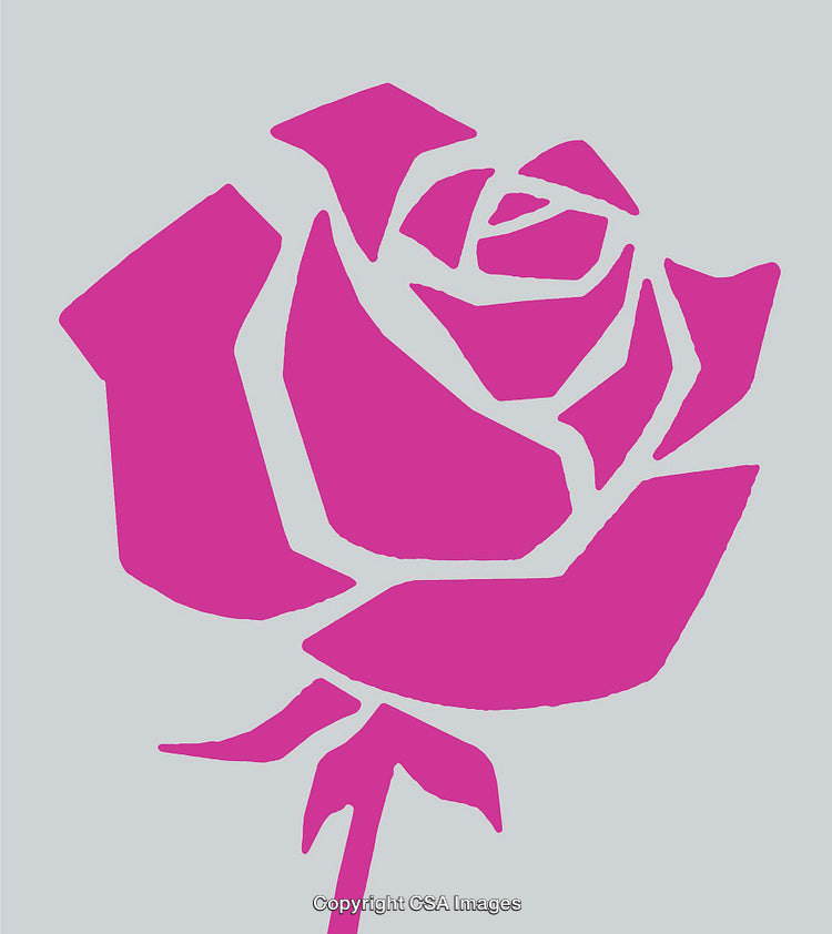 Stylized Pink Rose on Light Gray Artistic Background