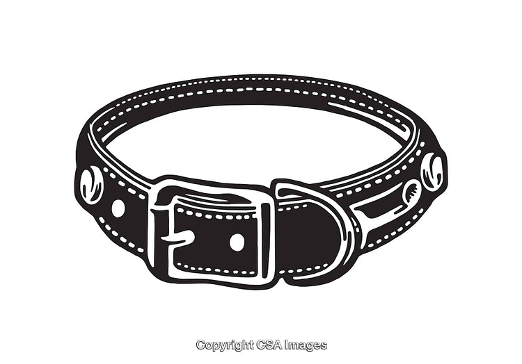 Black And White Illustration of a Leather Dog Collar With Buckle