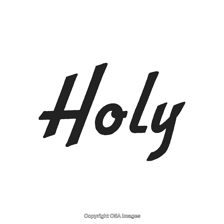 Simple Black Text Logo Featuring 'Holy' in Artistic Typeface