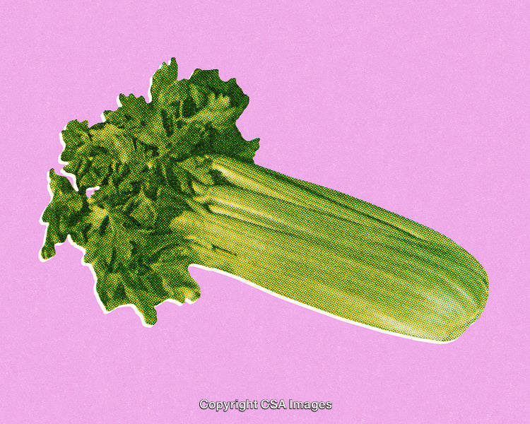 Fresh Celery on Pink Background in Vibrant Pop Art Style
