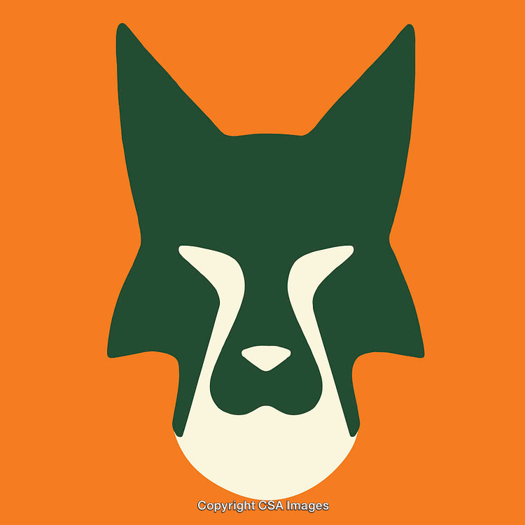 Stylized Green Animal Line Art Illustration on Orange Background