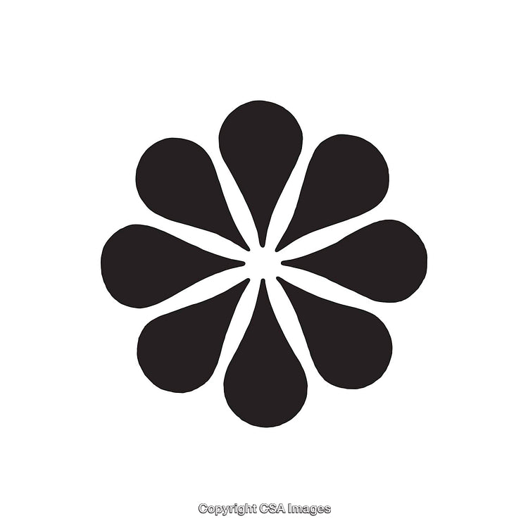 Abstract Symmetric Petal Shaped Flower in Black and White Design