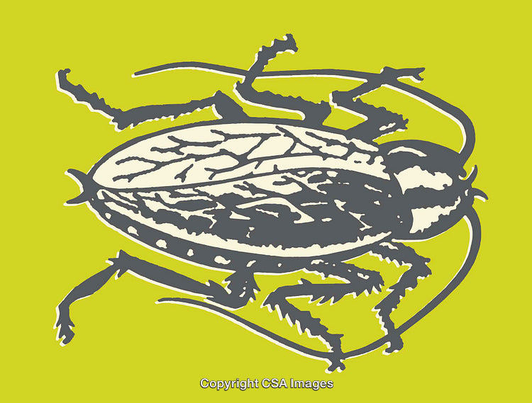 Detailed Line Art Illustration of a Beetle on a Bright Green Background