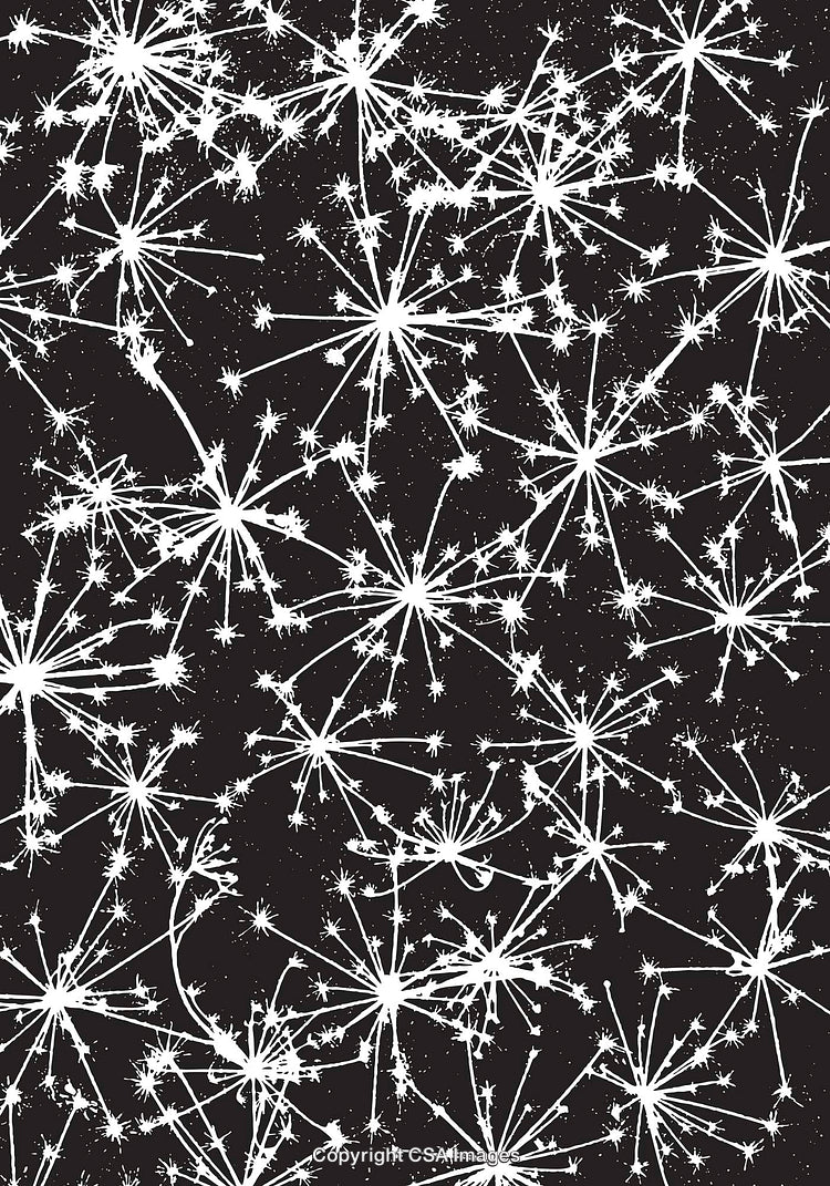 Abstract Black and White Breezy Dandelion Pattern Illustration