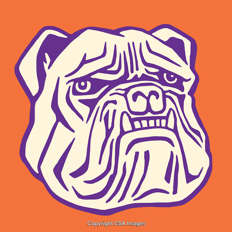 Colorful Line Art Illustration of a Bulldog Face with Orange Background