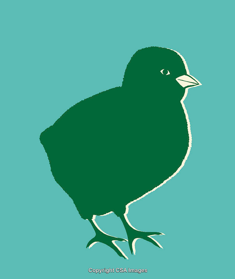 Stylized Illustration of a Green Bird Silhouette on Teal Background