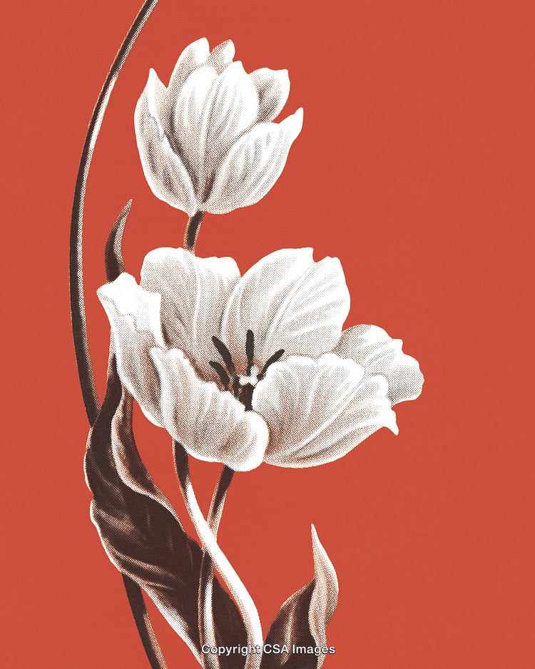 Artistic Illustration of Floral Bouquet on Vibrant Rust Background