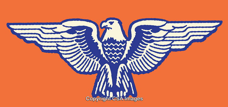 Colorful Line Art Illustration of a Stylized Eagle on Orange Background