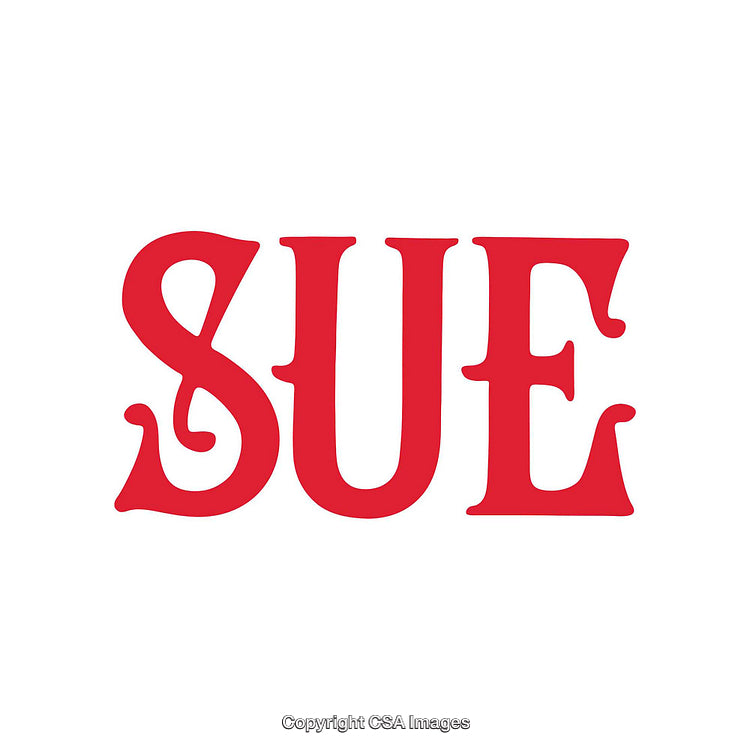 Bold Red Typography Featuring The Word 'Sue' in Artistic Style