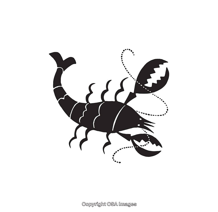 Black and White Scorpion Line Art in Abstract Style