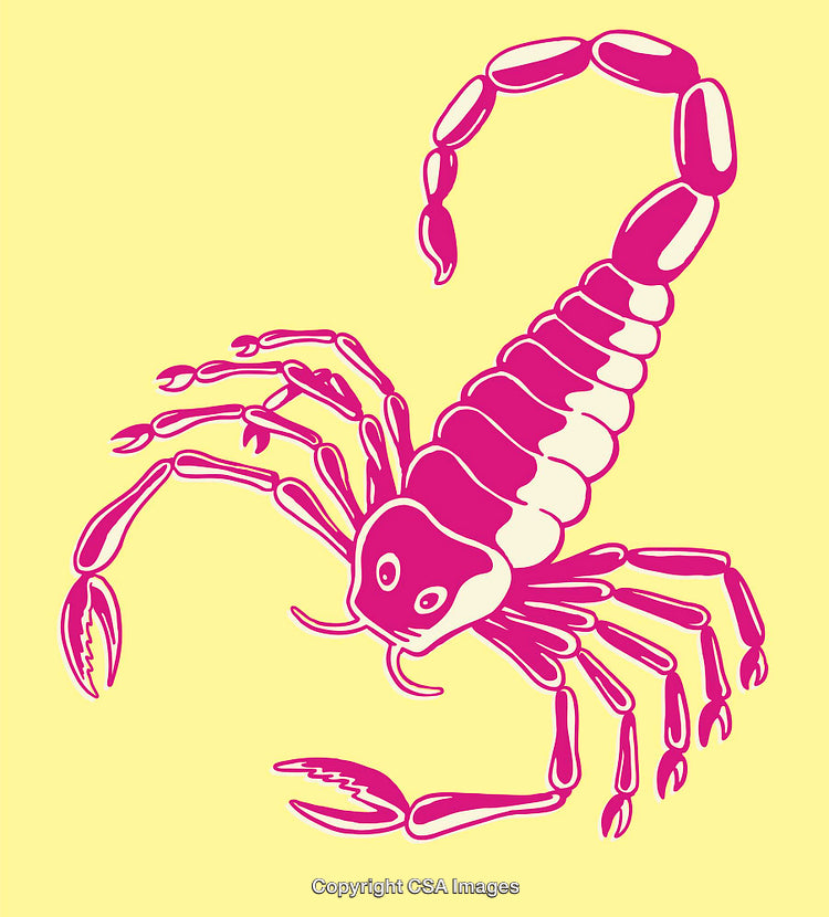 Pink Stylized Scorpion Drawing on Light Yellow Background