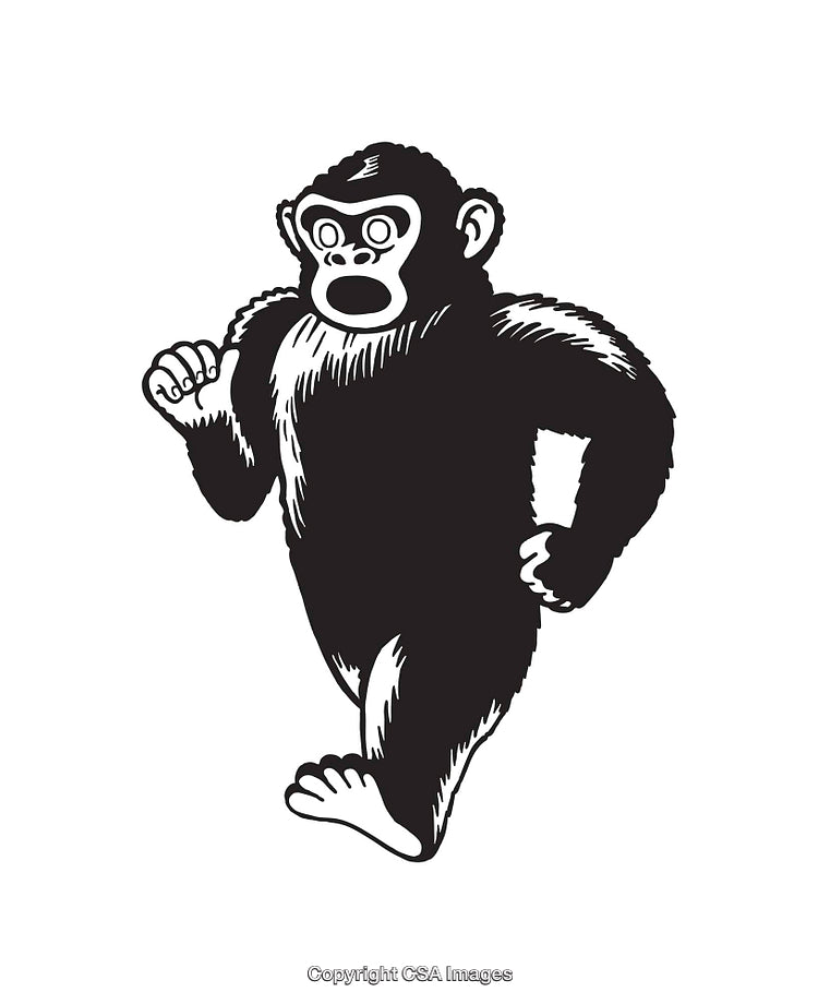 Black and White Line Art of a Walking Gorilla Illustration
