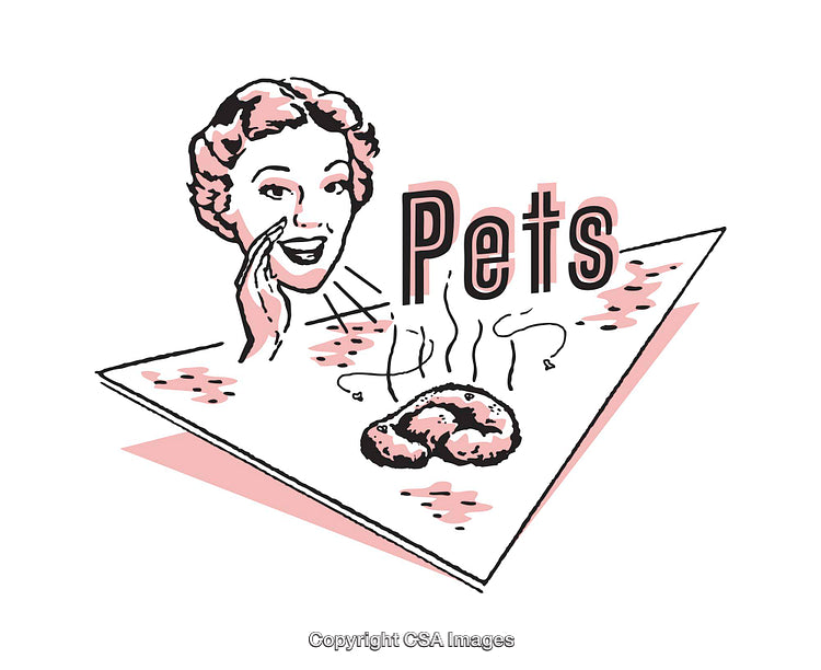 Retro Style Illustration Featuring Woman Promoting Pets in Playful Graphics