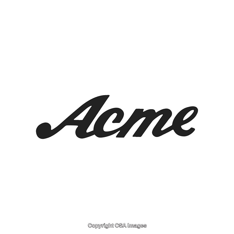 Black Acme Logo on White Background in Cursive Typography Style
