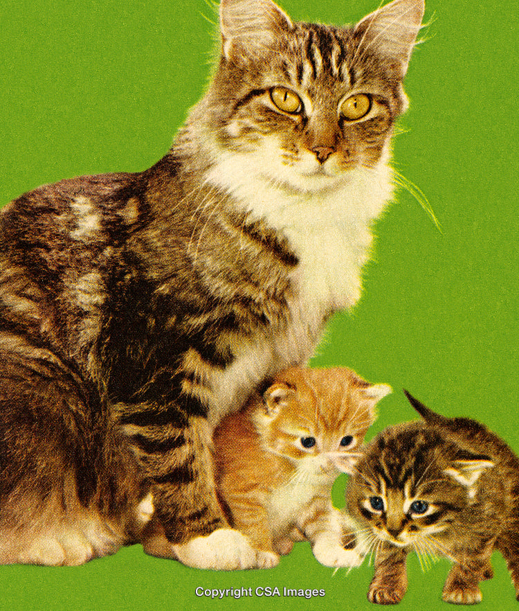 Adorable Mother Cat With Two Kittens on a Green Background