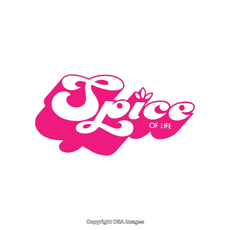 Pink Themed Logo Featuring 'Spice of Life' Text with Decorative Fonts