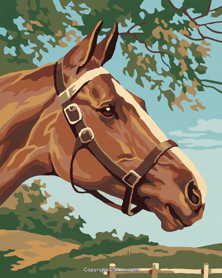 Detailed Paint By Numbers Illustrative Portrait of a Horse in Nature
