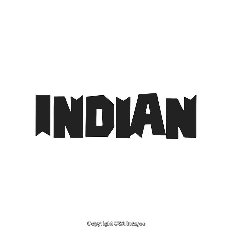 Bold Stylized Text Logo Design with the Word 'Indian' on White Background
