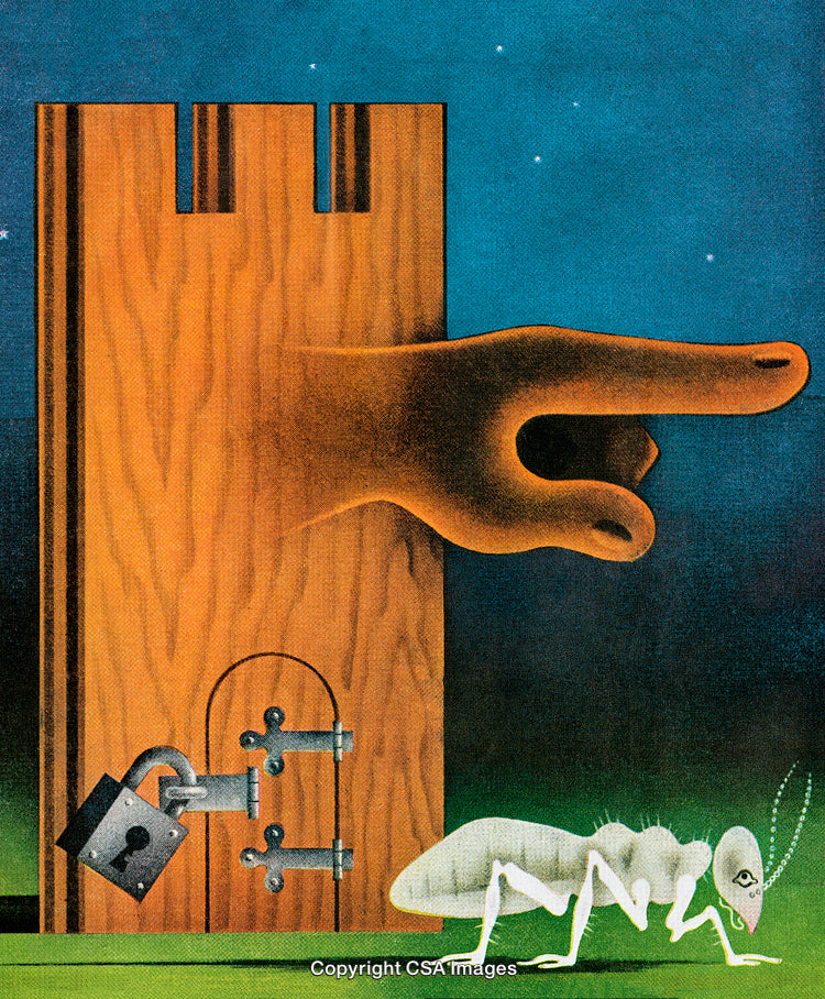 Surreal Illustration of Wooden Structure and Insect with Night Sky Backdrop