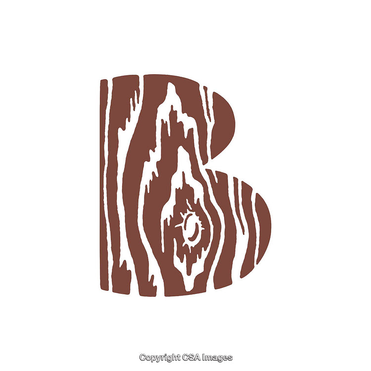 Artistic Letter B With Wooden Grain Texture in Bold Design