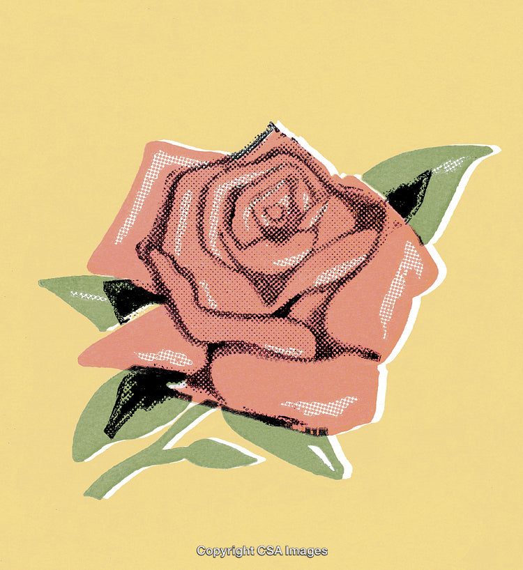 Red Rose