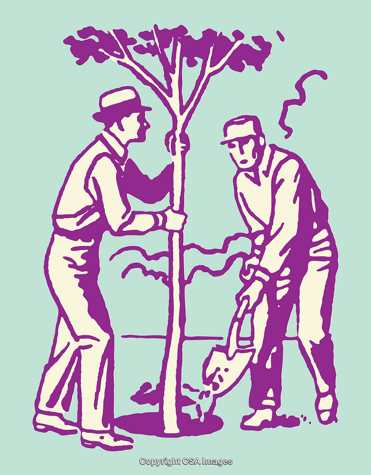 Line Art Illustration of Two People Collaborating to Plant a New Tree