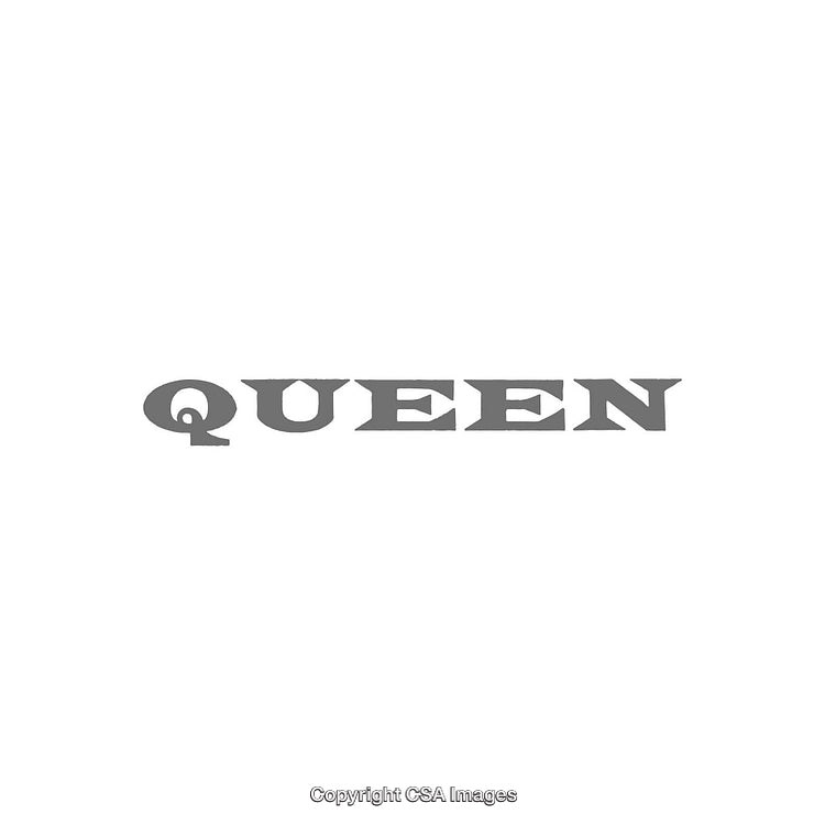 Gray Queen Text on White Minimalist Background in Bold Serif Font