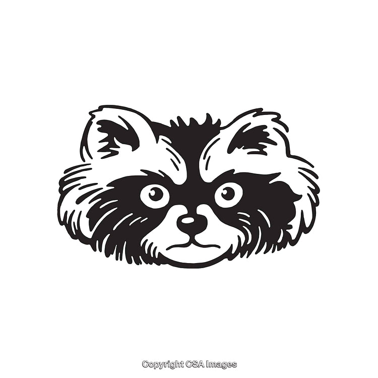 Black and White Illustration of a Raccoon Face in Detailed Line Art