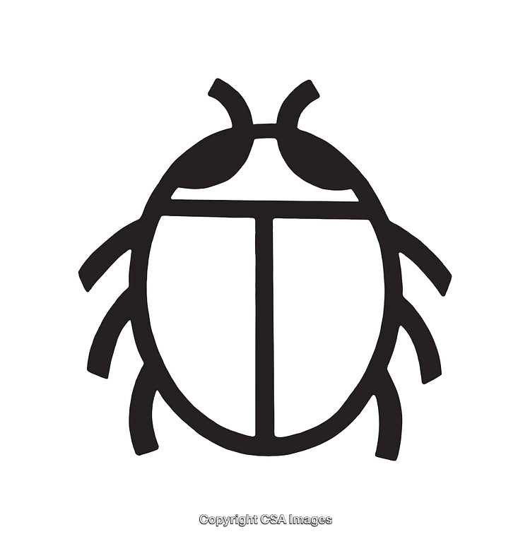 Minimalist Black and White Beetle Icon with Bold Lines