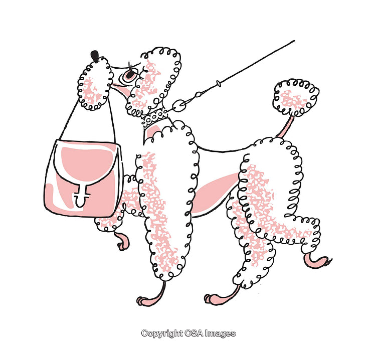 Illustration of a Stylish Poodle Carrying a Pink Handbag on a Leash