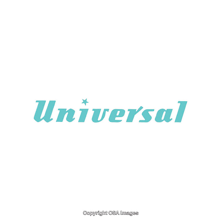 Minimalistic Artistic Logo Featuring the Word 'Universal' in Light Blue Font