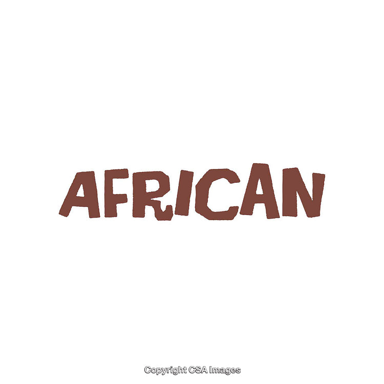 Simple Text Representation of the Word 'African' in Bold Design