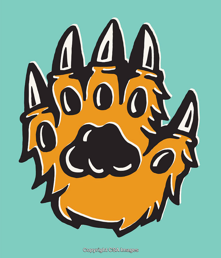 Color Illustration of a Bear Paw with Claws on a Green Background