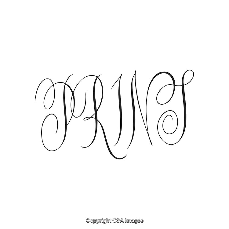 Elegant Calligraphy Design Showcasing the Word 'Prins' in a Flourishing Script