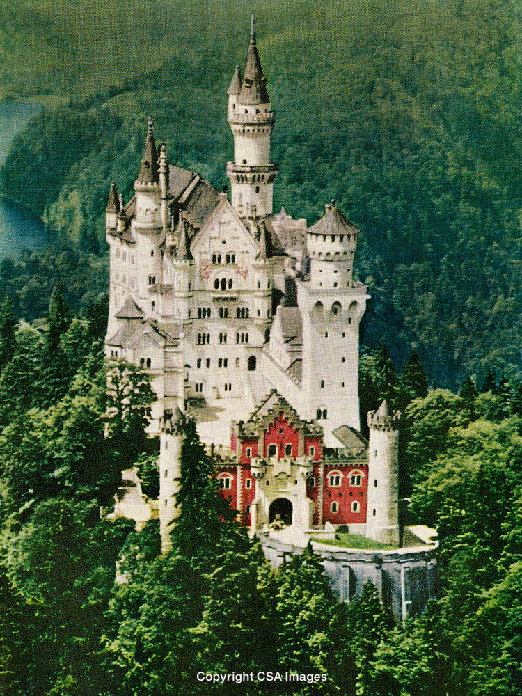 Majestic Castle Amid Lush Green Forest Landscape in a Vintage Style