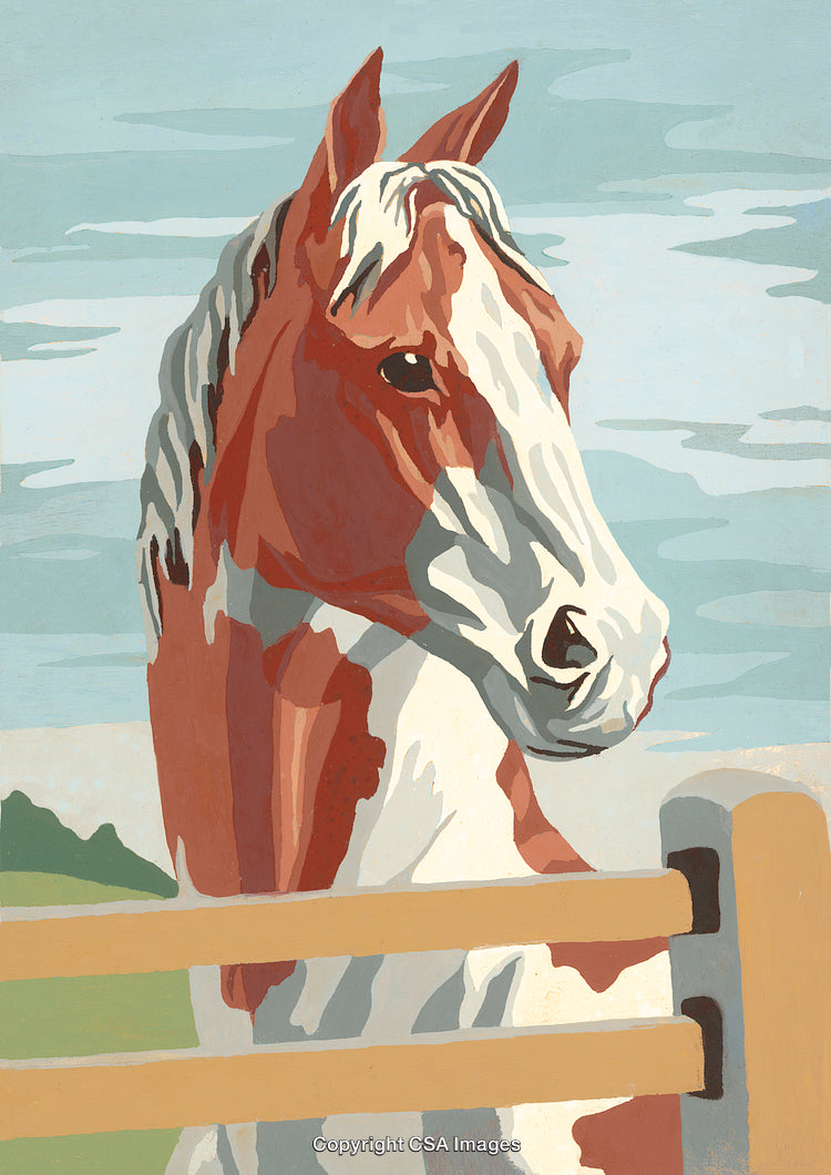 Captivating Paint By Number Illustration of a Horse in a Serene Landscape