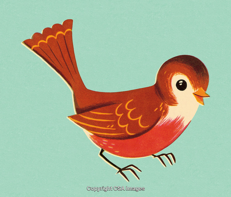 Cheerful Vintage Illustration of a Small Red Bird on Green Background