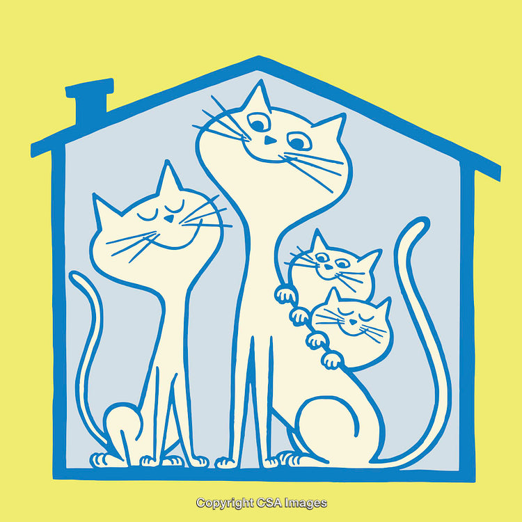 Family of Cats in Playful Line Art Illustration Inside a House