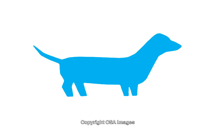 Blue Dachshund Silhouette Icon in Flat Style on a White Background